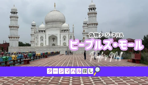 【タージマハル探し#13】ボーパールのモールで偽物タージ・マハル発見